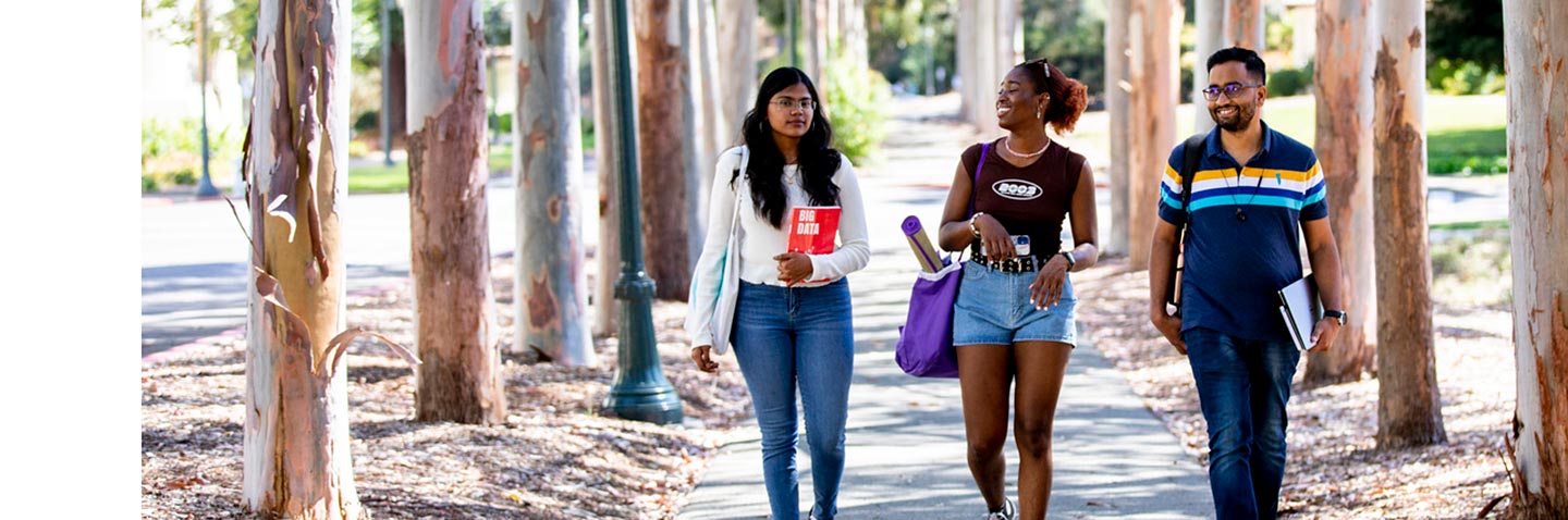Northeastern students walk on a path surrounded by eucalyptus trees at Mills College on June 11, 2022. Photo by Ruby Wallau for Northeastern University